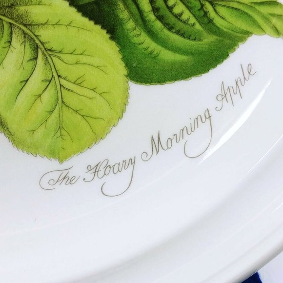 Portmeiron Ponoma Dinner Plates 4 Pc Susan Williams-Ellis - Picture 7 of 9